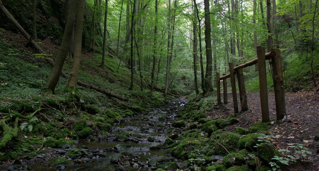 blog-image
